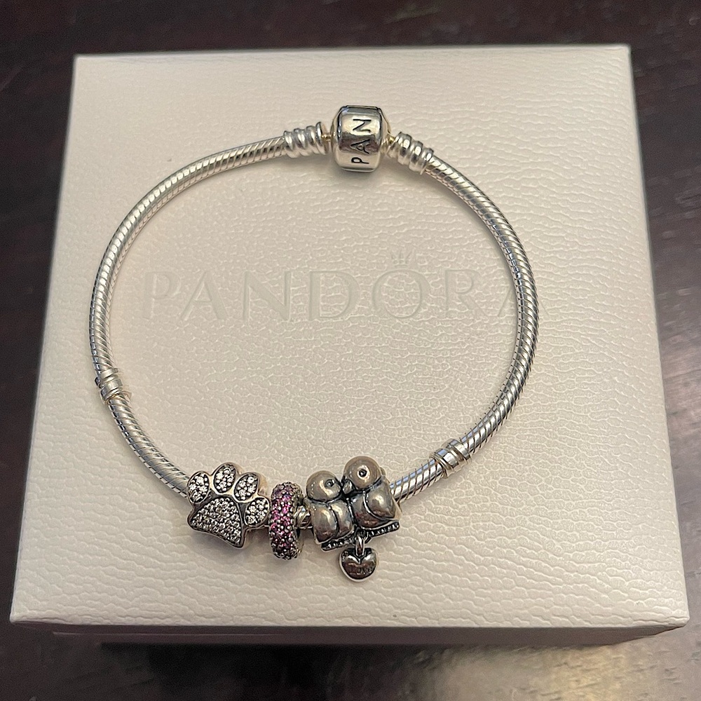 Silver Pandora Bracelet
